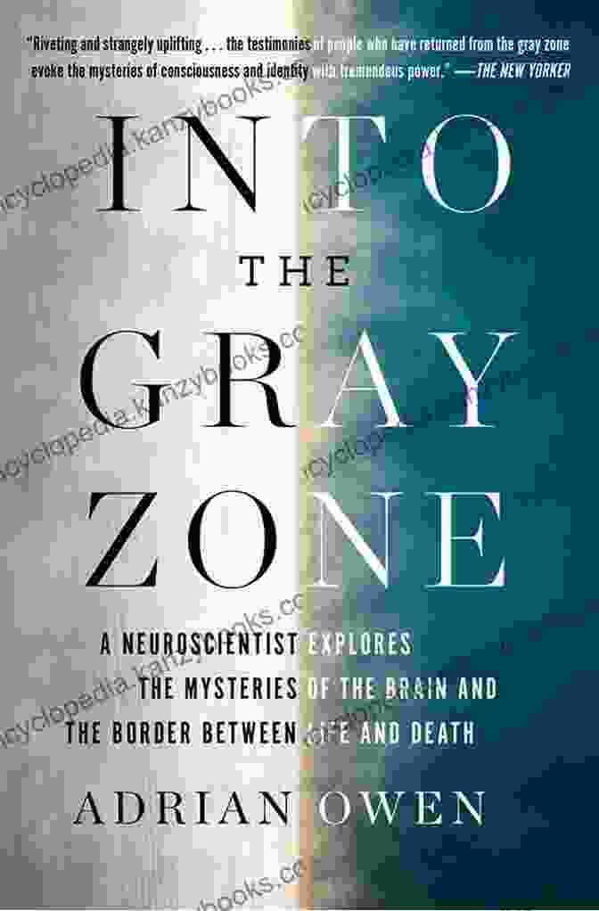 A Photograph Of The Book Cover Of 'Into The Gray Zone' By Dr. Jane Doe. The Cover Features A Black And White Image Of A Person Standing In A Dimly Lit Room, Their Face Obscured By Shadows. Into The Gray Zone: A Neuroscientist Explores The BFree Download Between Life And Death