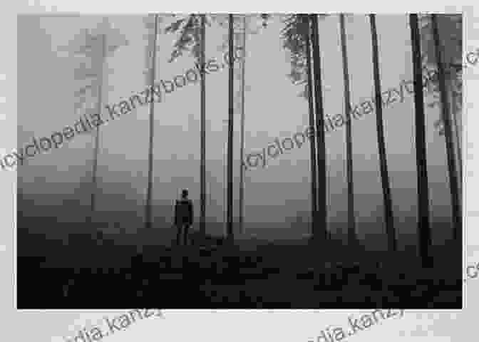 A Solitary Figure Standing Amidst Towering Trees In A Dense Forest Arthur Blackwood S Scary Stories For Kids Who Like Scary Stories: 2