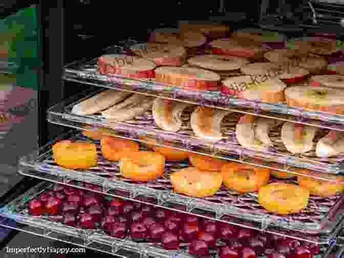 Vibrant Fruits Arranged On A Dehydrator Tray, Ready To Be Transformed Into Sweet And Tangy Snacks. DEHYDRATION RECIPE FOR BEGINNERS: INGENIOUS RECIPES FOR THE DEHYDRATOR AND OVEN INCLUDING RECIPES FOR CHIPS FRUIT LEATHER BEEF JERKY MEAT VEGETABLES AND FRUIT AND MUCH MORE