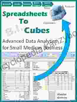 Spreadsheets to Cubes: Advanced Data Analysis for Managers (Small Medium Business) (Data Science Series)