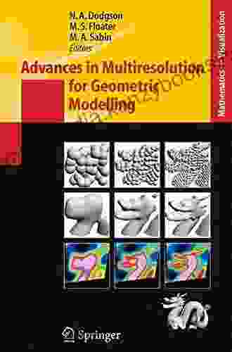 Advances In Multiresolution For Geometric Modelling (Mathematics And Visualization)