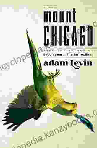 Mount Chicago: A Novel Adam Levin