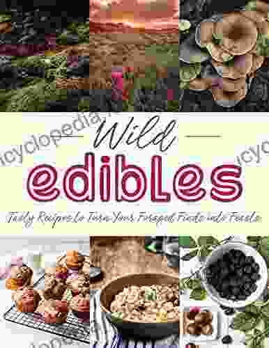 The #2024 Cookbook Wild Edibles: Tasty Recipes To Turn Your Foraged Finds Into Feasts