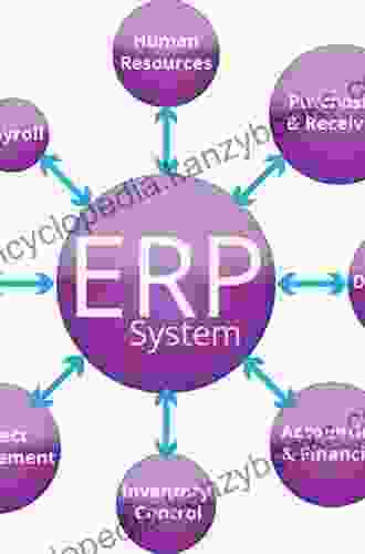 ERP And Information Systems: Integration Or Disintegration (Advances In Information Systems Set 5)